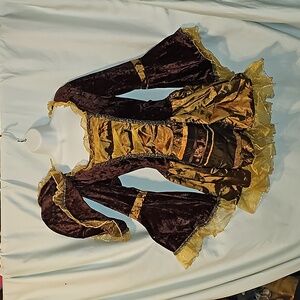 Fun World Sassy Pirate adult costume